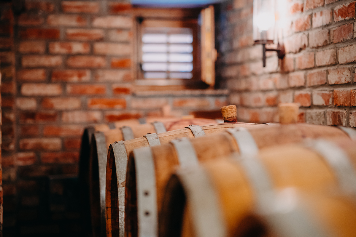 Naši vinari spajaju najbolje od suvremenog i tradicije