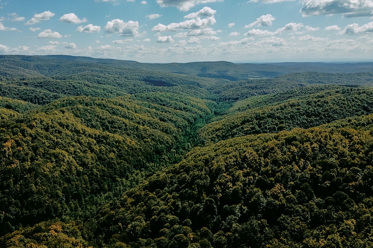 Panorama pitome i šumovite Moslavačke gore