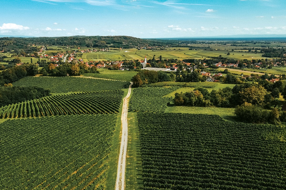 Panorama Volodera središta moslavačkog vinogradarstva