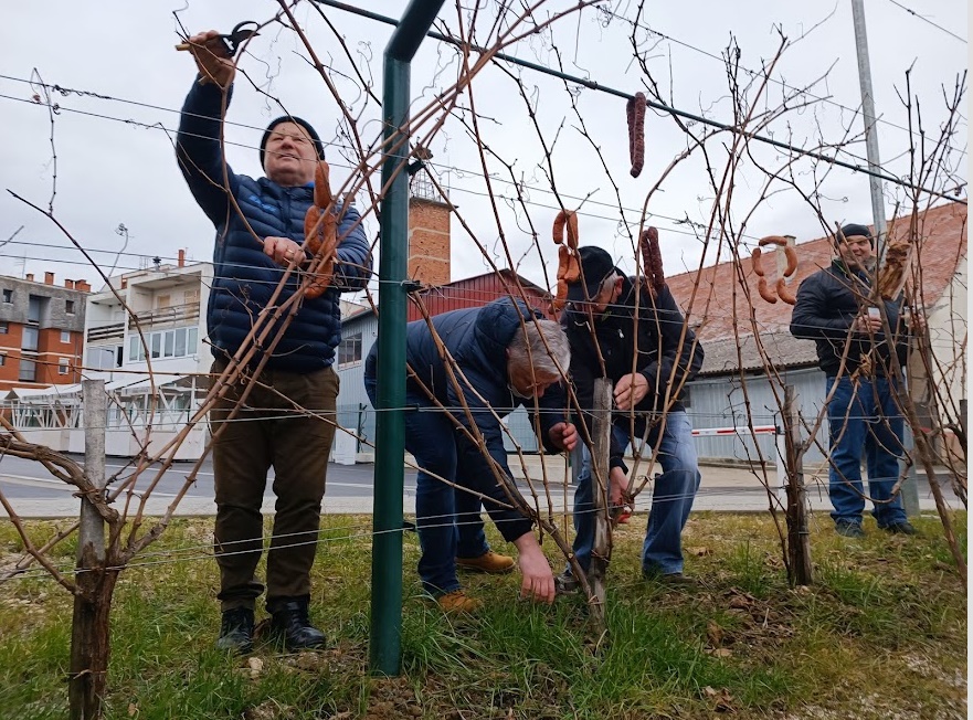 Popovačka udruga 'Škrlet' održala Vincekovo